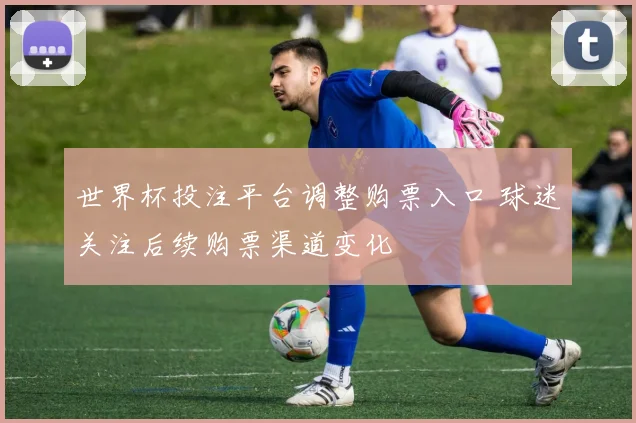 世界杯投注平台调整购票入口 球迷关注后续购票渠道变化